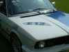 LeeCornettE12Racer_04.jpg (73620 byte)